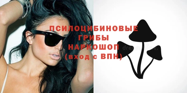 прущие грибы Абинск