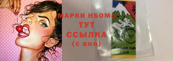 прущие грибы Абинск
