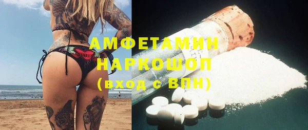 прущие грибы Абинск