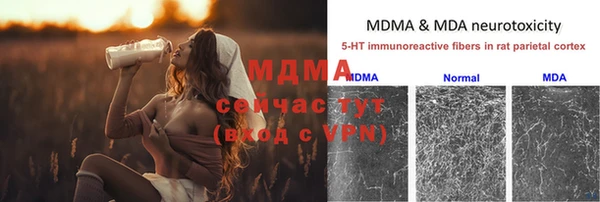 прущие грибы Абинск