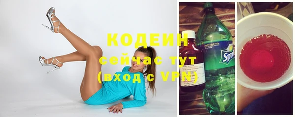 прущие грибы Абинск