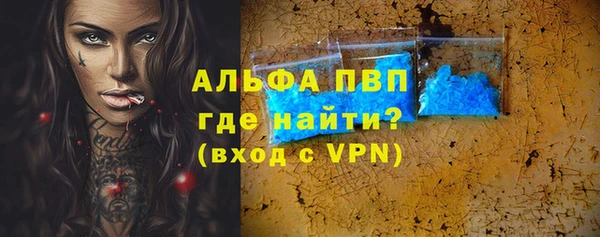 прущие грибы Абинск