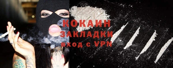 прущие грибы Абинск