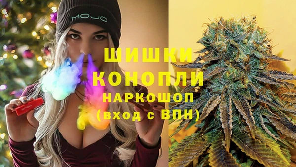 прущие грибы Абинск