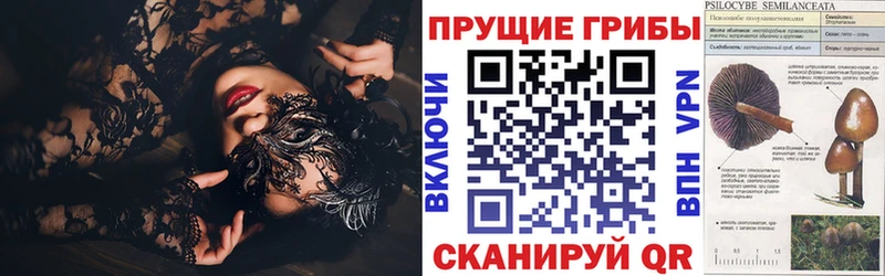 Галлюциногенные грибы ЛСД Лосино-Петровский